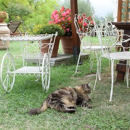 Agriturismo Le Benducce Farm stay *