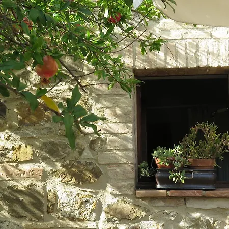 Agriturismo Le Benducce Farm stay Montalcino